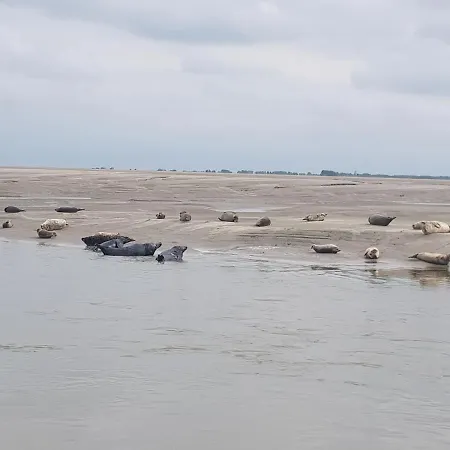 Jeanne 50 M De L'esplanade Classe 2 Etoiles アパート *